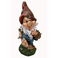 GMMH - 27328-6 gartenzwerg con Cesta- 7-enanas de recolección- Altura 35 cm